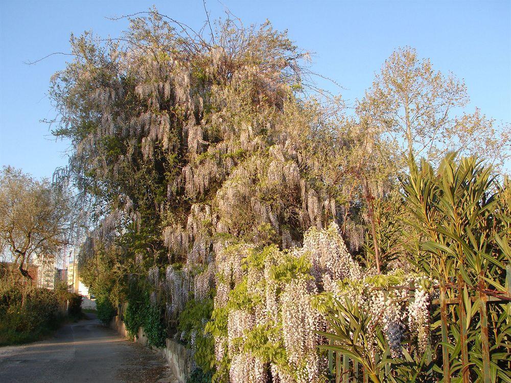 Parco Delle Valli Sassari Exterior foto
